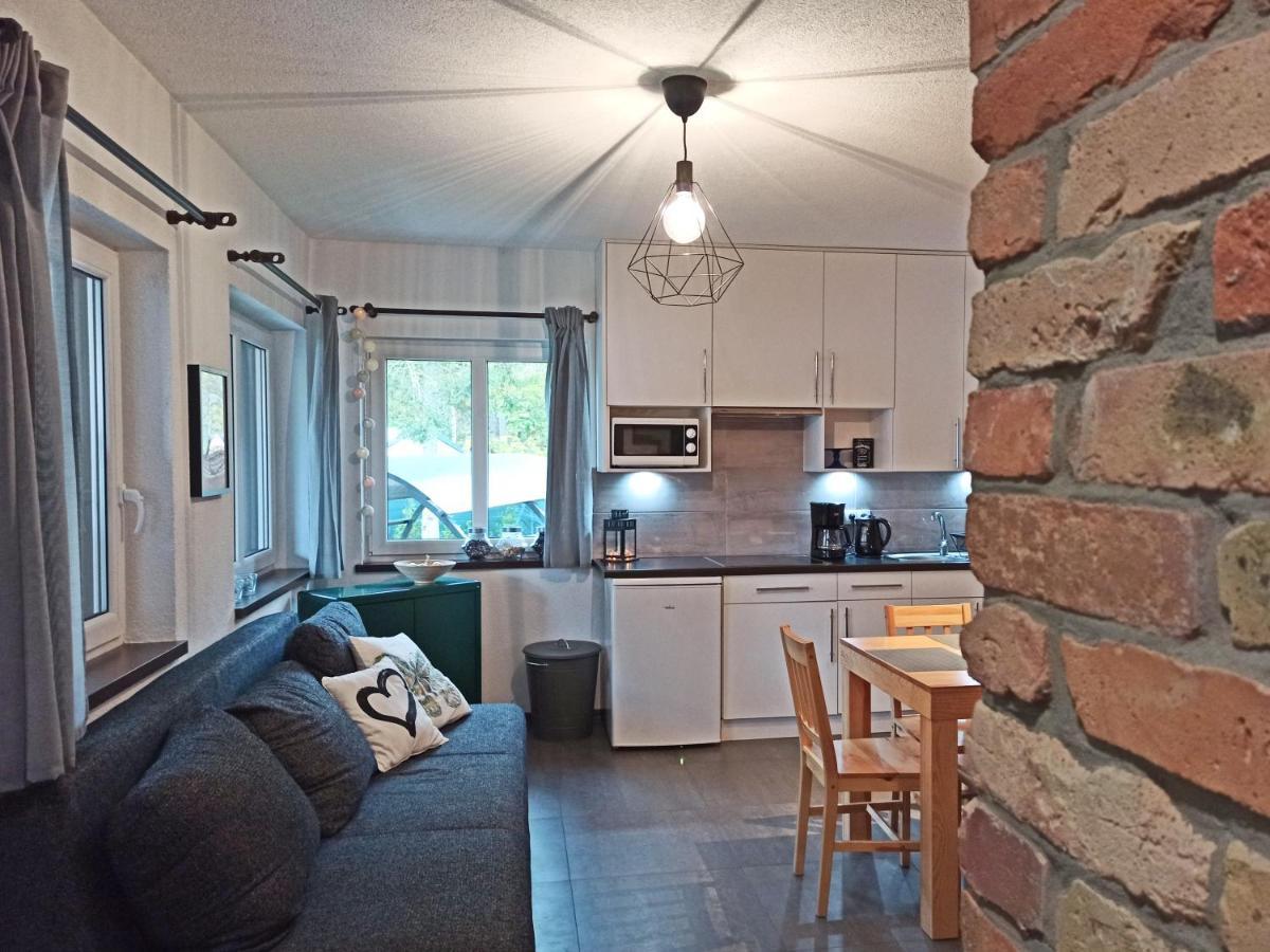 Dom Caloroczny Na Kaszubach Nietoperek, Prywatna Balia, Bania Ruska, Prywatna Sauna Holiday home